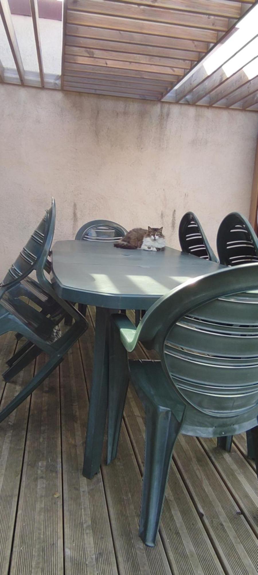 Berck Maison De Vacances Avec Terrasse Et Jardin, Εξωτερικό φωτογραφία